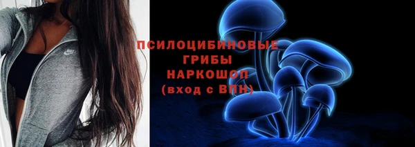 дурь Алексеевка
