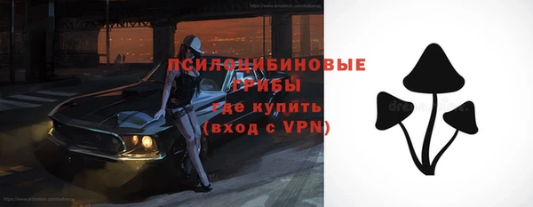 спиды Алзамай