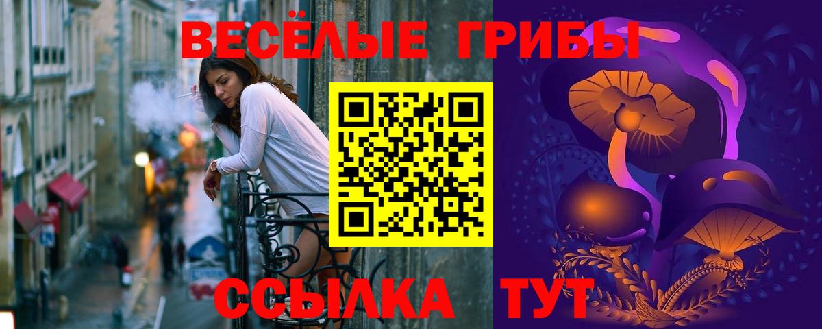 Галлюциногенные грибы Cubensis Калач-на-Дону