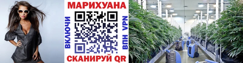 как найти наркотики  Калач-на-Дону  Конопля LSD WEED 